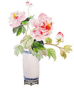 粉色芍药花