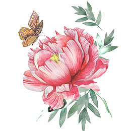 芍药花开