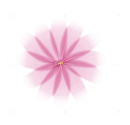 渐变花