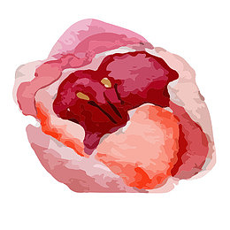 手绘 水彩 优化风格 唯美 花