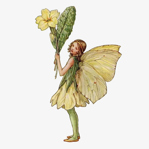 手绘花仙子