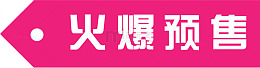 精美火爆预售标签