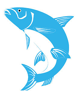 矢量钓鱼协会LOGO