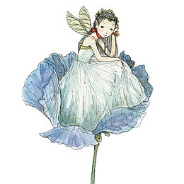 美丽花仙子