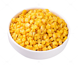 金色玉米颗粒玉米粒
