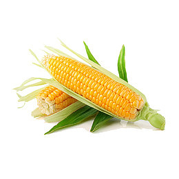 玉米