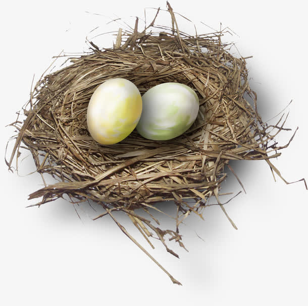 鸟蛋鸟窝素材免费下载_觅元素