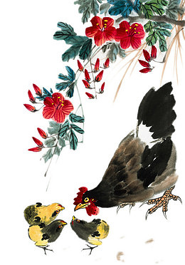 国画芦花鸡