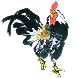 行走的鸡子