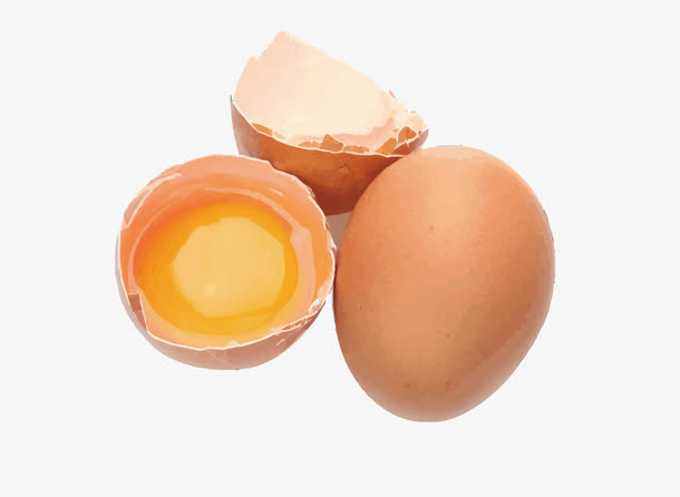 鸡蛋和鸡蛋黄矢量