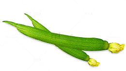 蔬菜手绘食物 丝瓜
