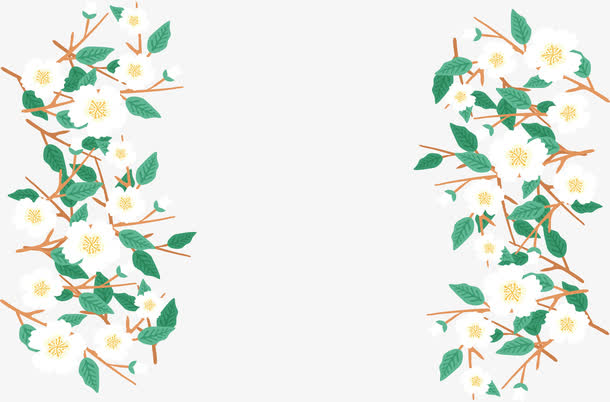 美丽的白色花朵边框