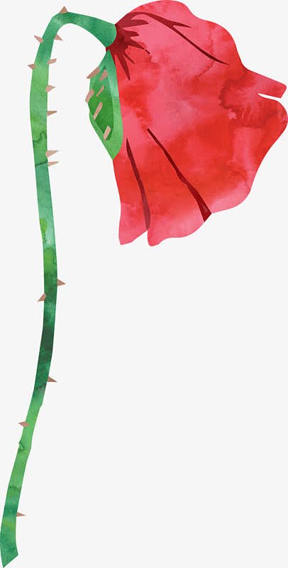 手绘低头的红色花卉