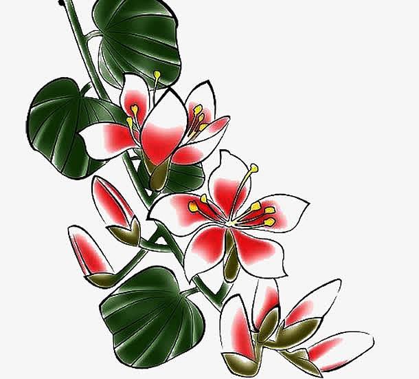 授权对象暂无授权使用范围仅限学习交流分享即可免费下载psdpng手绘含