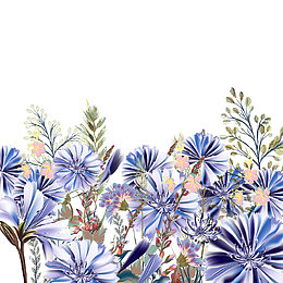 矢量兰花