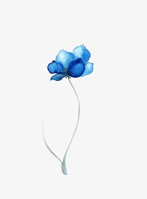 一朵蓝色莲花