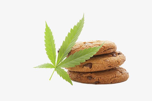 大麻叶子和巧克力饼干