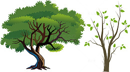 矢量大树