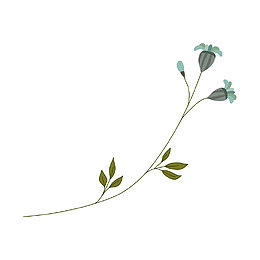 手绘小清新花卉