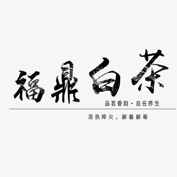 福鼎白茶艺术字素材