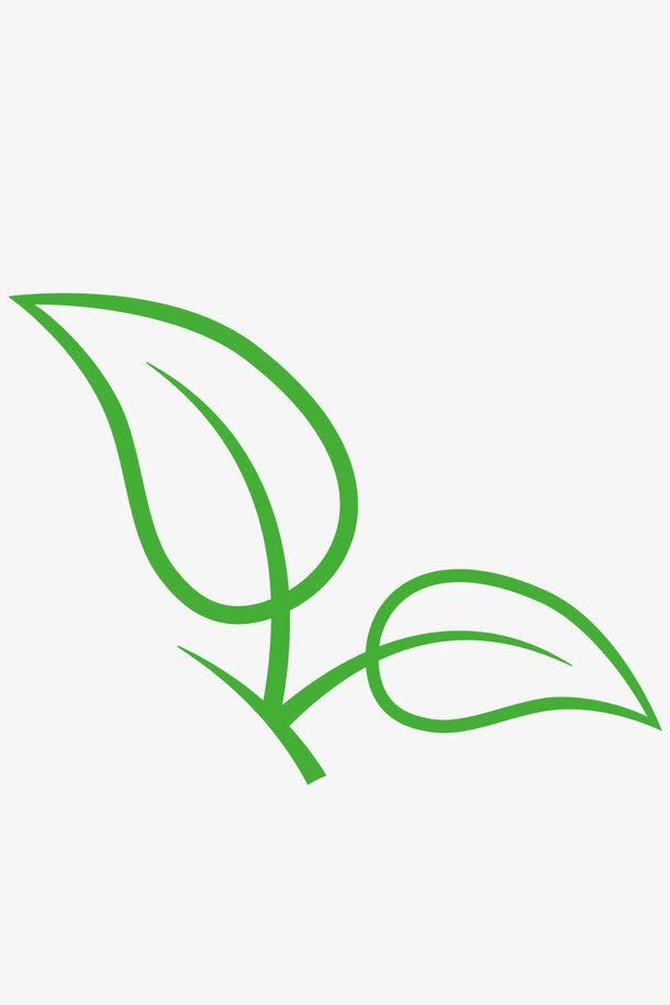 绿叶福鼎白茶矢量素材