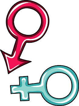 矢量手绘男女符号
