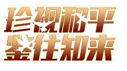 珍视和平