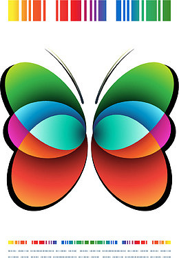 炫彩蝴蝶矢量素材