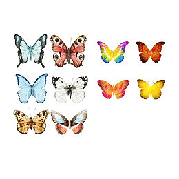 绚丽缤纷多彩蝴蝶免抠图