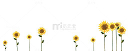 向日葵边框