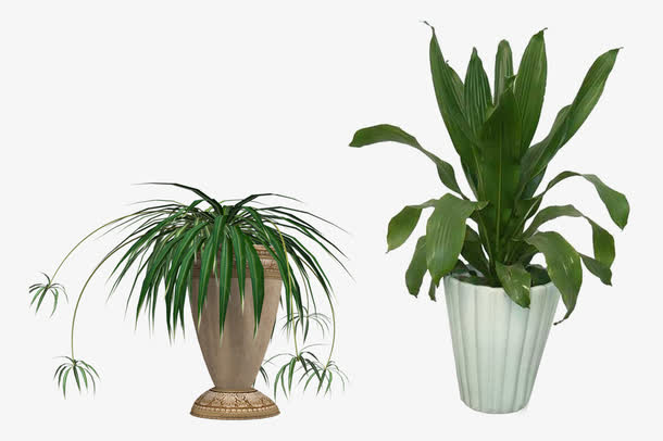 植物盆栽花草景观素材免费下载_觅元素