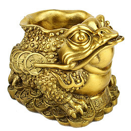金漆蟾蜍
