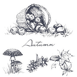 手绘果篮矢量
