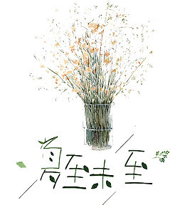 夏至未至