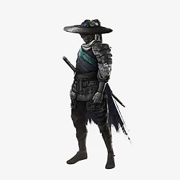 中国风戴斗笠的水墨剑客