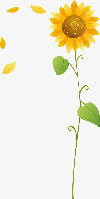 卡通向日葵(1975x2962)png卡通手绘黄色向日葵(1453x1500)png花朵边框