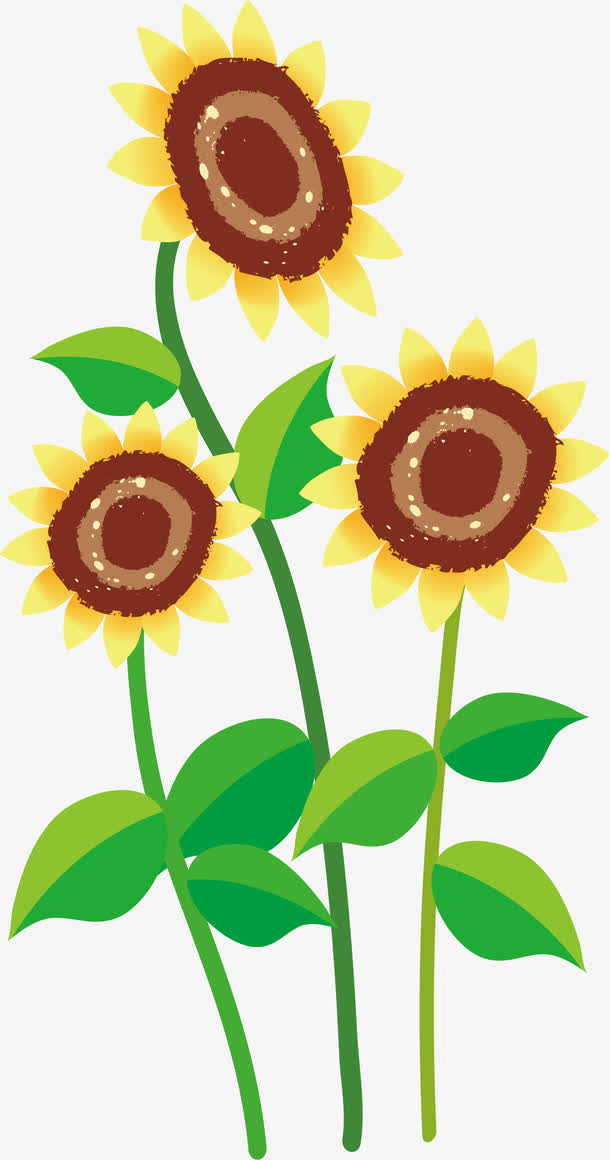 卡通向日葵矢量图