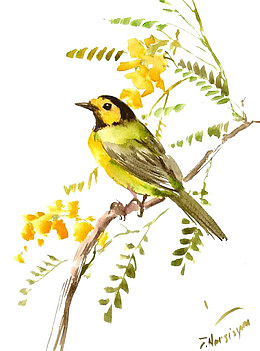 站在枝头的小鸟麻雀