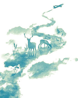 幻境