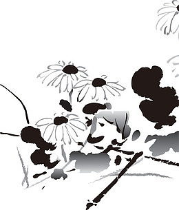 菊花素材