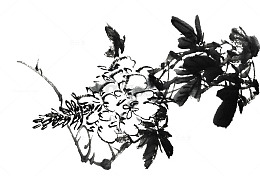 水墨紫荆花国画素材