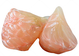 红宝石果肉蜜柚