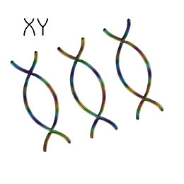 XX高清免扣素材