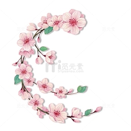 抽象花朵花卉桃花枝