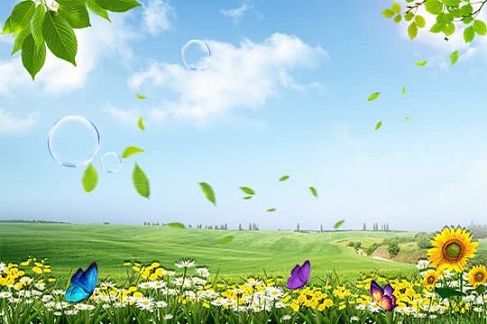 psdjpg绿色环保和谐低碳节能清新海报bannerjpg卡通花草,草地,天空psd