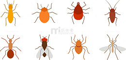 蚊子害虫苍蝇
