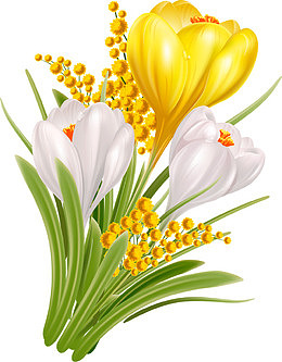 一束鲜花
