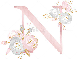 花朵字母N
