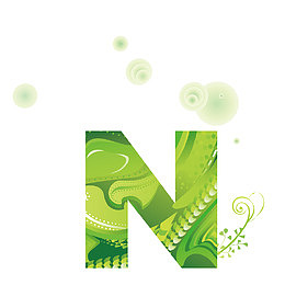 植物花卉创意字母N