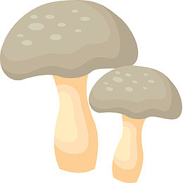 手绘蘑菇